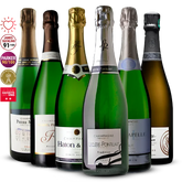 Pack 6 Champagnes de Vignerons - 4.5l